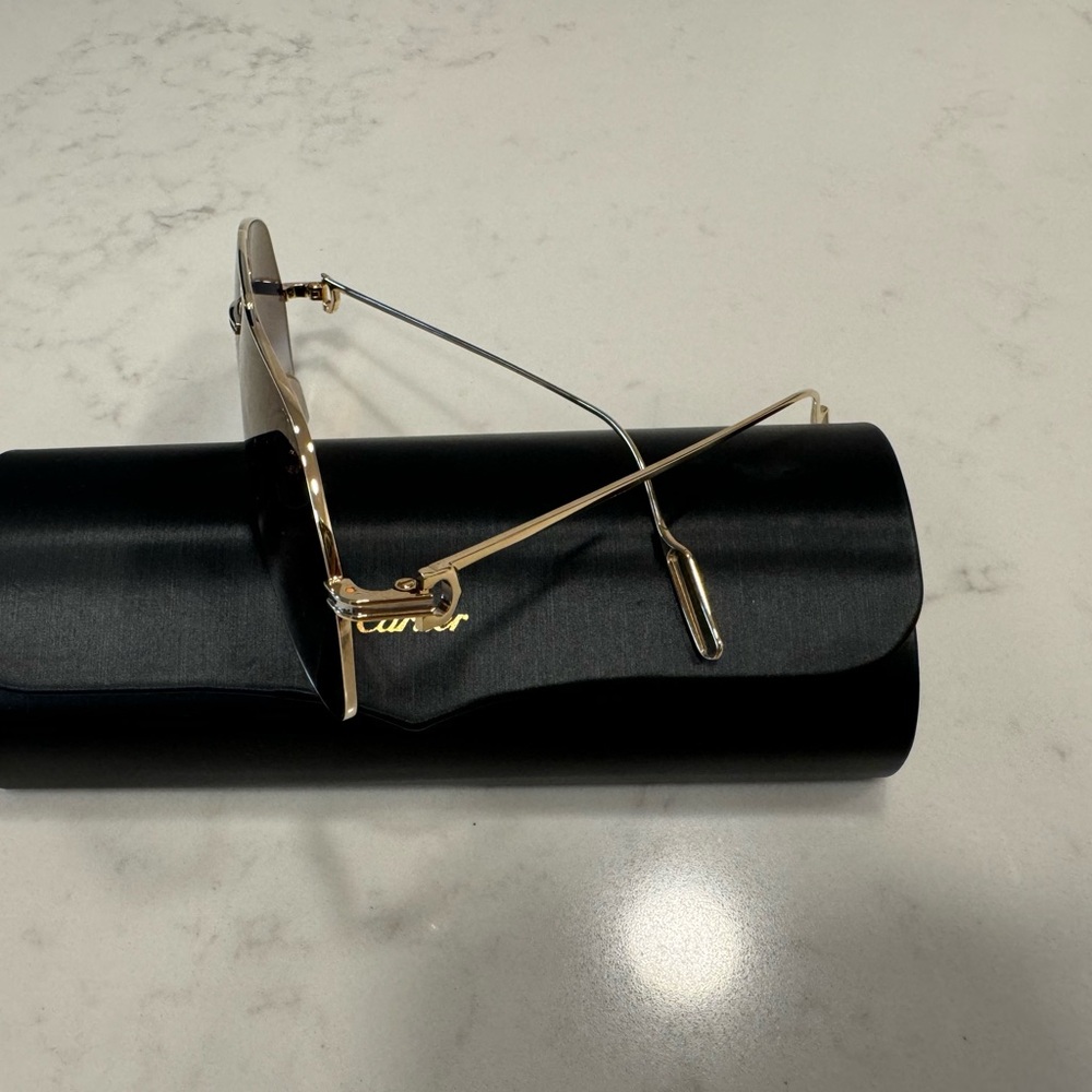 Gold Sunglasses with Black Case
